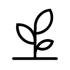 Plant / Potted Plant