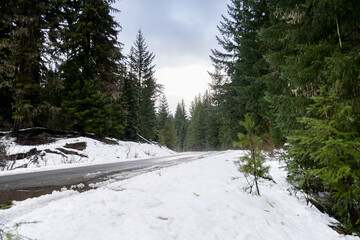 Snow in the middle of a forest, accessible only via remote access roads