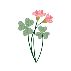 pink flower vector illustration