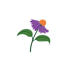 vector illustration of a purple flower