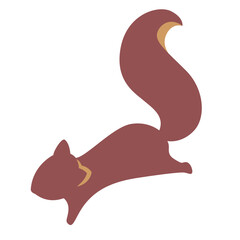 squirrel on a white background