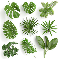 Tropical plants with green leaves, including monstera, palm, and ferns, create vibrant and lush atmosphere