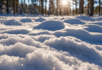 snow-covered ground texture with compacted ice details
