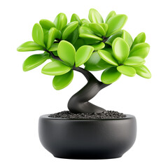 Cute Bonsai Tree in Black Pot - Ideal for Home Decor and Plant Lovers