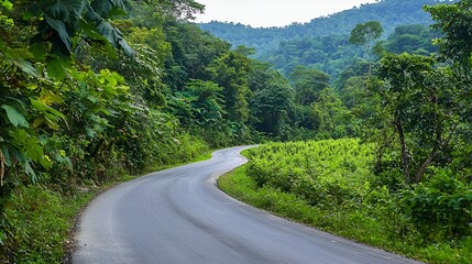 Fototapeta premium Winding road through lush green jungle mountains. Travel, adventure background