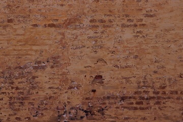 A vividly detailed brick wall with rough texture, depicting a natural aging process and rustic earthy tones. Suitable as a background or for illustrating organic, urban, or historical aesthetics.