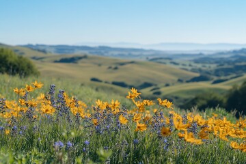 Vibrant wildflowers in foreground, rolling green hills and hazy mountains in background under a clear blue sky.