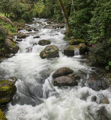 Rapids on the Stream in Colombian Rainforest, South America