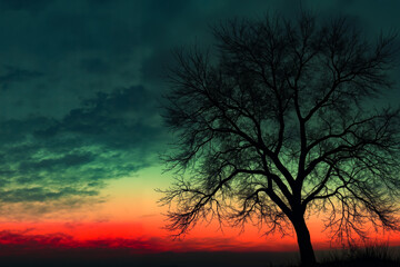 Fototapeta premium A lone tree silhouetted against a colorful sunset sky
