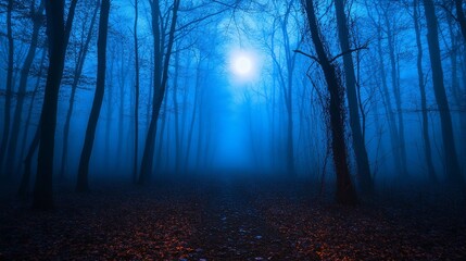Fototapeta premium Mysterious blue moonlit forest path at night.