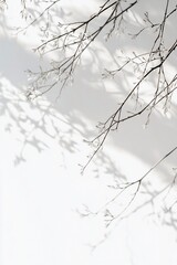 Fototapeta premium Bare branches cast shadows on a white wall, creating a minimalist, nature-inspired image.