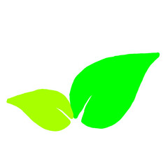 Green Leaf