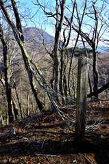 道志山塊の奥ノ岳山頂 御正体山南尾根の頂