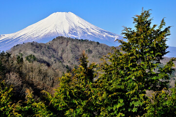 Fototapeta premium 道志山塊の奥ノ岳 送電鉄塔からの富士山の展望 