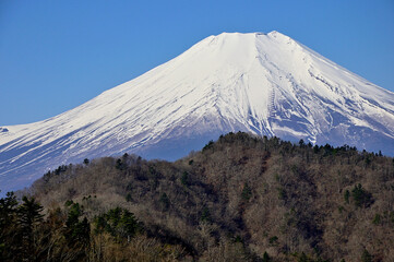 道志山塊の奥ノ岳　送電鉄塔からの富士山の展望
