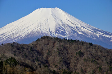 道志山塊の奥ノ岳　送電鉄塔からの富士山の展望
