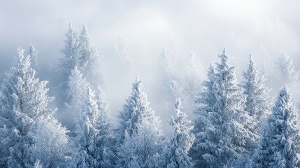 A serene winter landscape featuring snow-covered evergreen trees shrouded in mist, creating a tranquil and mystical atmosphere.