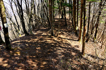 Obraz premium 道志山塊の御正体山 坂ノ落合の分岐 