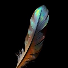 Naklejka premium colorful feathers background