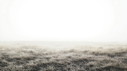 A serene landscape of frosty grass under a foggy sky, creating a tranquil and ethereal atmosphere.