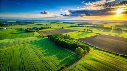 Lush Green Field Under a Vivid Blue Sky - Aerial Drone Shot