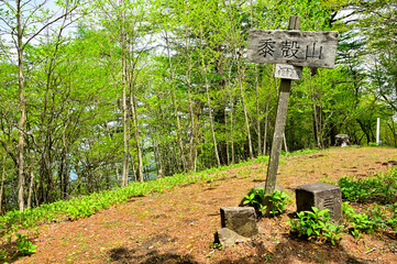 丹沢の黍殻山山頂　三等三角点（青根村）
