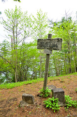 丹沢の黍殻山山頂　三等三角点（青根村）
