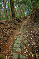 丹沢主脈の縦走路　焼山の石畳の道
