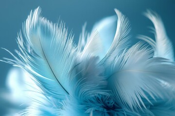 Naklejka premium Captivating blue backdrop highlights the intricate details of a feather.