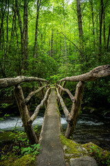Wooden Bridge over Noland Creek in the Smokies