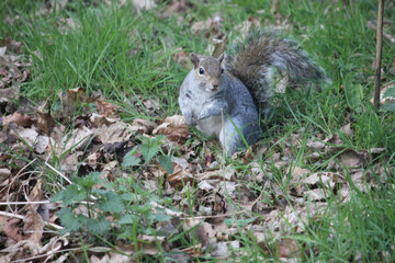 Elveden, Norfolk, United Kingdom, April 17, 2024. Views from Elveden