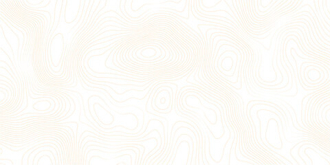 white wave line geography landscape Topo contour map on white background. Geographic mountain relief diagram line wave carve pattern.