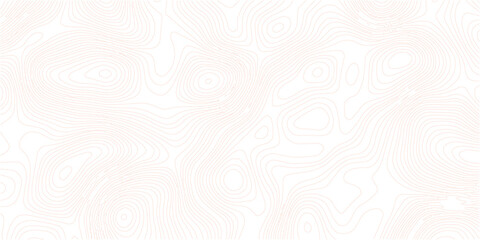 white wave line geography landscape Topo contour map on white background. Geographic mountain relief diagram line wave carve pattern.