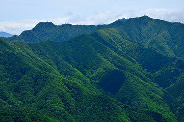 Fototapeta premium 御坂山地の釈迦ヶ岳山頂より 新緑の十二ヶ岳、雪頭ヶ岳、鬼ヶ岳、節刀ヶ岳を望む 