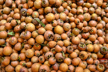 Common medlar for sale in the market. Mespilus germanica.
