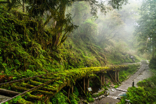 View of the Jancing Historic Trail in Yilan Taipingshan National Forest Recreation Area, Taiwan.