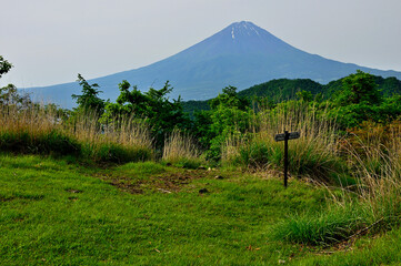 御坂山地　若彦路街道古道の大石峠より望む初夏の富士山
