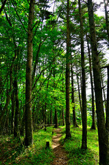 御坂山地　金堀山の山頂
