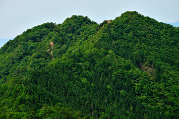 緑の御坂山地　節刀ヶ岳より雪頭ヶ岳と鬼ヶ岳を望む
