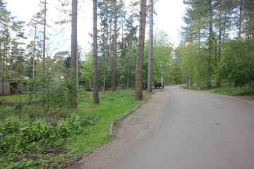 Obraz premium Elveden, Norfolk, United Kingdom, April 17, 2024. Views from Elveden