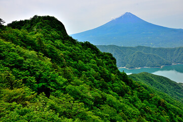 御坂山地の十二ヶ岳から望む緑の山地に初夏の頃の富士山
