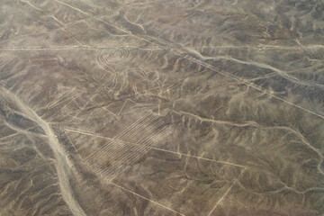 Nazca lines in Peru - The Monkey (el mono)