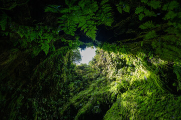 Gruta do Natal, Terceira island, Azores