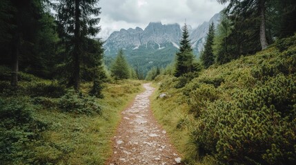 Fototapeta premium Serene Mountain Trail: A Journey Through Lush Alpine Forest