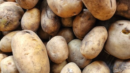 Fresh organic potatoes in the market. Close-up. Selective focus.