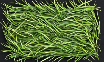 Lush green grass arranged artistically on a dark background, ideal for nature-themed designs