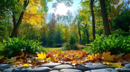 Autumn leaves carpet the ground in a tranquil forest setting