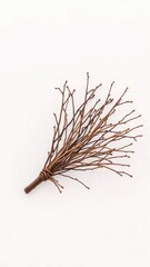 Fototapeta premium Small bundle of dry twigs against a clean white wall, brown, twigs, texture
