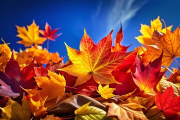 Obraz premium Vibrant Autumn Leaves Against a Deep Blue Sky: Stunning Fall Foliage Photography