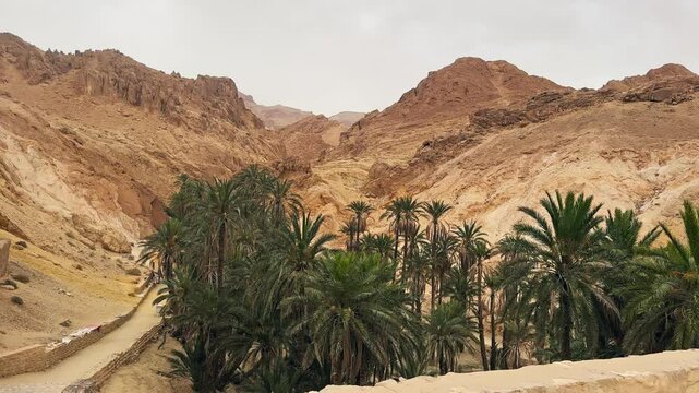 Scenic View of Chebika Oasis Surrounded by Sahara Desert Hills in Tunisia